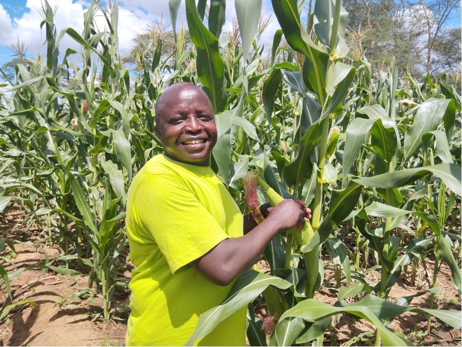 From rustlers to harvesters: Kamuru’s transformative journey with FCA Kenya
