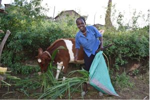 Empowering lives: Rael Kipyego’s journey with Boryotwo self-help group